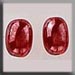 T12256 - Olive Bead - Red Luster (2)