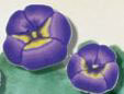 2223 Purple Pansy - Just Another Button Co
