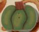 2242 Green Pumpkin - Just Another Button Co
