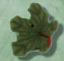 2277 Pumpkin Leaf - Just Another Button Co