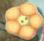 2278 Yellow Flower - Just Another Button Co