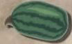 2295 Green Melon - Just Another Button Co