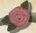 2300 Rose-Colored Rose - Just Another Button Co
