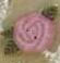 2300 Rose-Colored Rose - Just Another Button Co