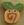 2309 Pumpkin Swirly Bud - Just Another Button Co