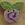 2311 Lavender Swirly Bud - Just Another Button Co
