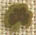 2320 Tiny Shamrock - Just Another Button Co