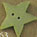 3463 Pale Sage Star - Just Another Button Co