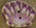 4466 Scallop Shell - Just Another Button Co