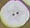 4514 Sand Dollar - Just Another Button Co