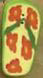 4555 Green Flip Flop - Just Another Button Co