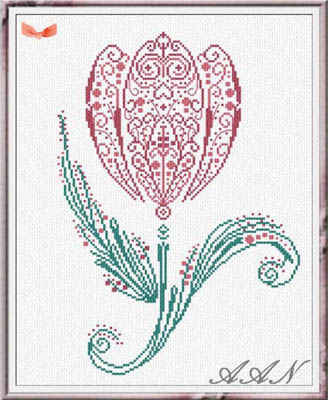 Tulip