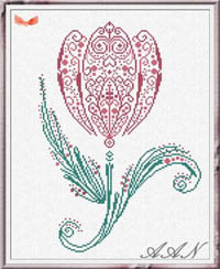 Tulip