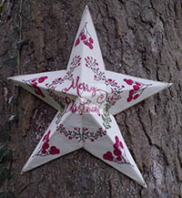 Christmas Star