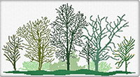 Forest Di Primavera (Spring Forest)