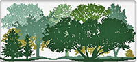 Foresta D'Estate (Summer Forest)