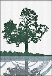 Riflesso (Reflection)