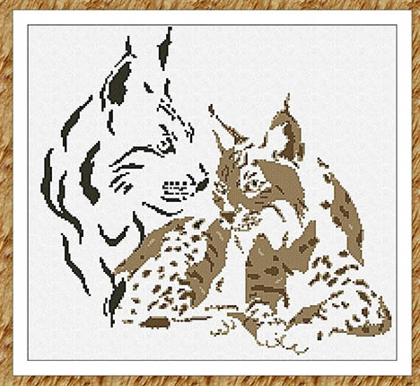  \Linx Portrait