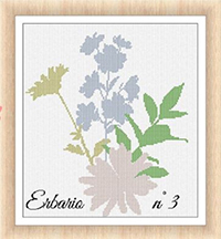 Erbario #3 