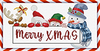  2024 Christmas Collection - Merry Xmas