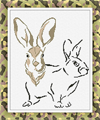 Hare Portrait
