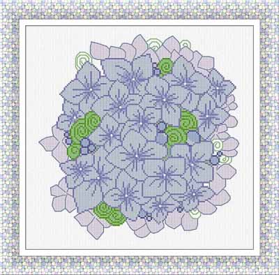 Ortensia (Hydrangea)