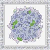 Ortensia (Hydrangea)