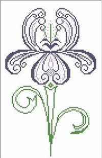 Iris
