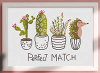 Perfect Match