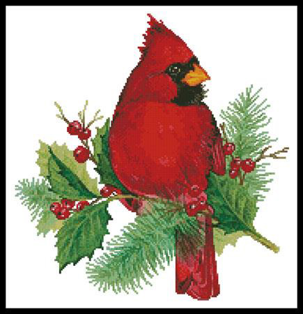 Cardinal and Holly