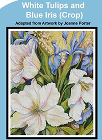White Tulips and Blue Iris