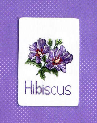 Hibiscus