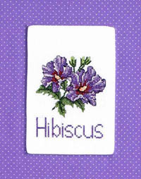 Hibiscus
