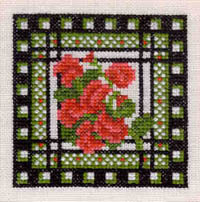 Geranium
