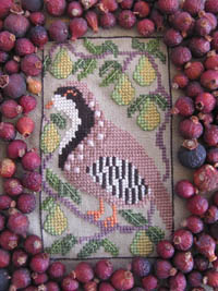 Birds Of A Funky Feather #5