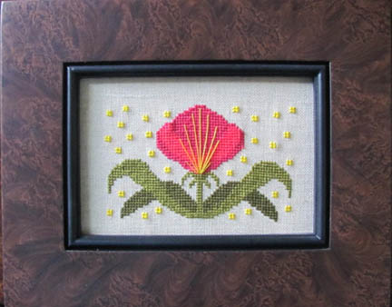 Funky Flower - Victoria
