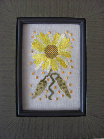 Funky Flower - Meagan