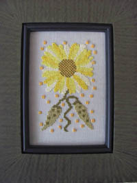 Funky Flower - Meagan