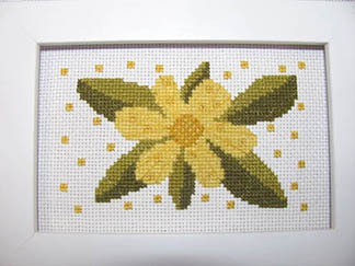 Funky Flower - Jeannette