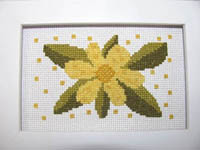 Funky Flower - Jeannette