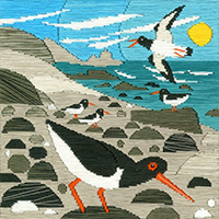 Oyster Catchers Silken Long Stitch Kit