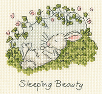 Sleeping Beauty Kit