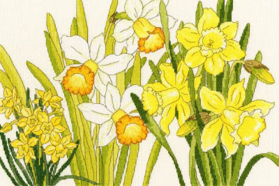 Daffodil Blooms Kit