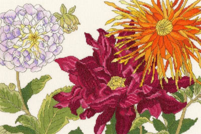 Dahlia Blooms Kit