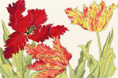 Tulip Blooms Kit