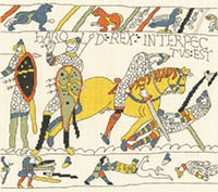 The Demise of King Harold Bayeus Tapestry Kit