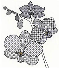 Orchid - Blackwork Kit