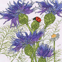 Cornflower Garden Kit