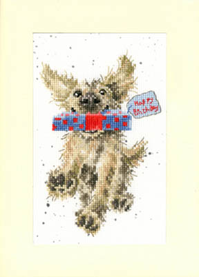 Special Delivery Card Kit