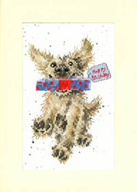 Special Delivery Card Kit